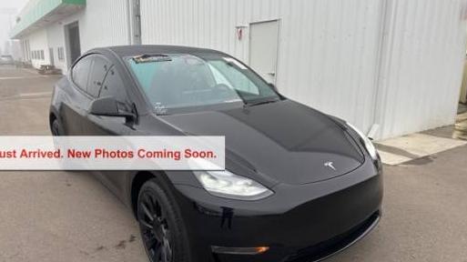 TESLA MODEL Y 2023 7SAYGDEE0PA076808 image